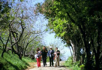 Wilacre Park