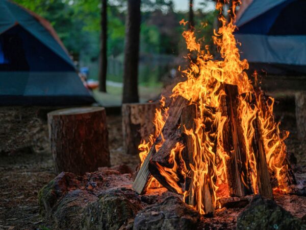 Camping Near Los Angeles: Best Campgrounds, Tent Spots and Weekend Escapes