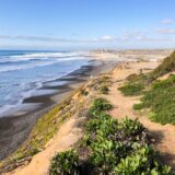 Easy Beach Hikes in Los Angeles: Coastal Walks, Bluffs and Ocean Views