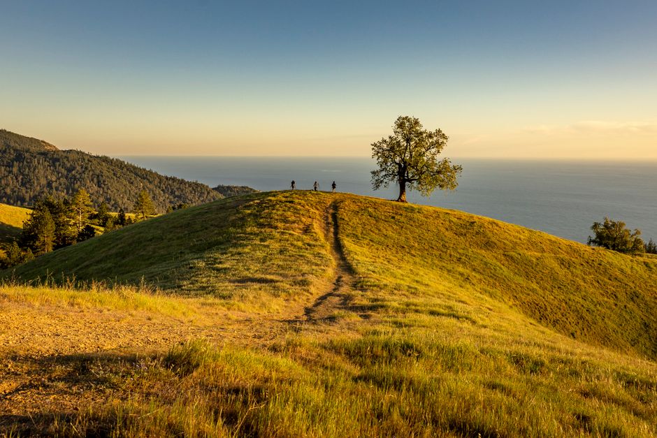 Best Sunset Hikes in Los Angeles: Where to Go and What to Check First