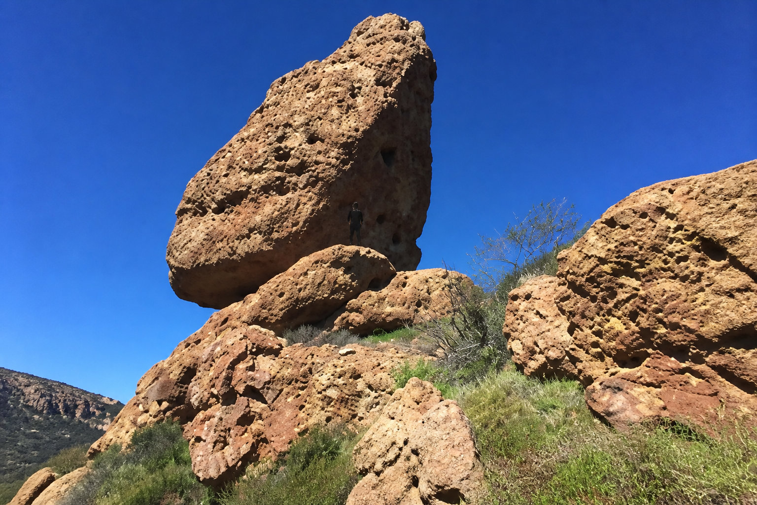 Geological Landmarks and Native Flora Highlights