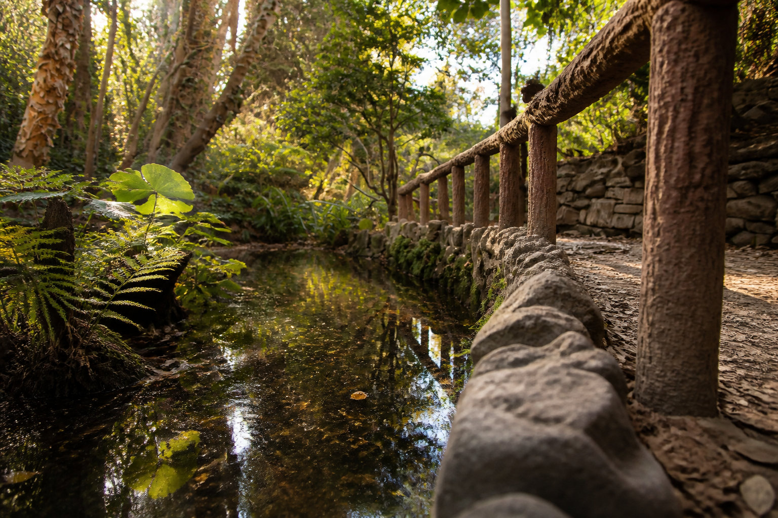 Griffith Observatory West Trail via Fern Dell