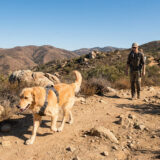 Durable dog harnesses for rugged California trails