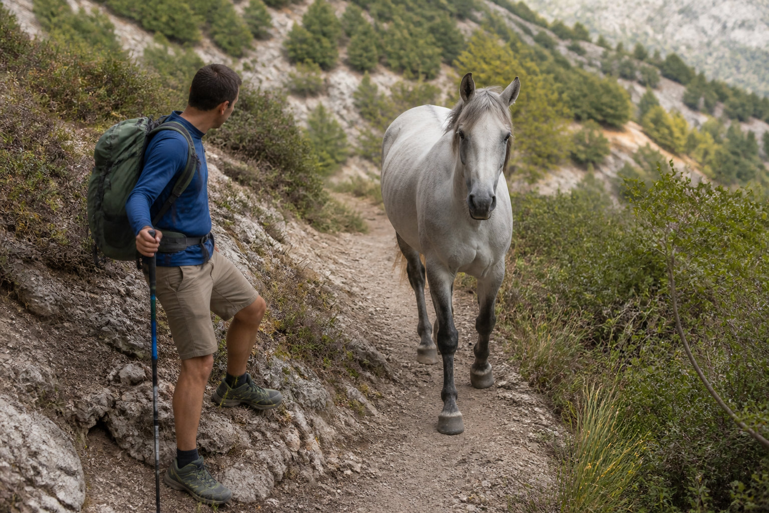 Implementing Environmental Stewardship via Leave No Trace Principles