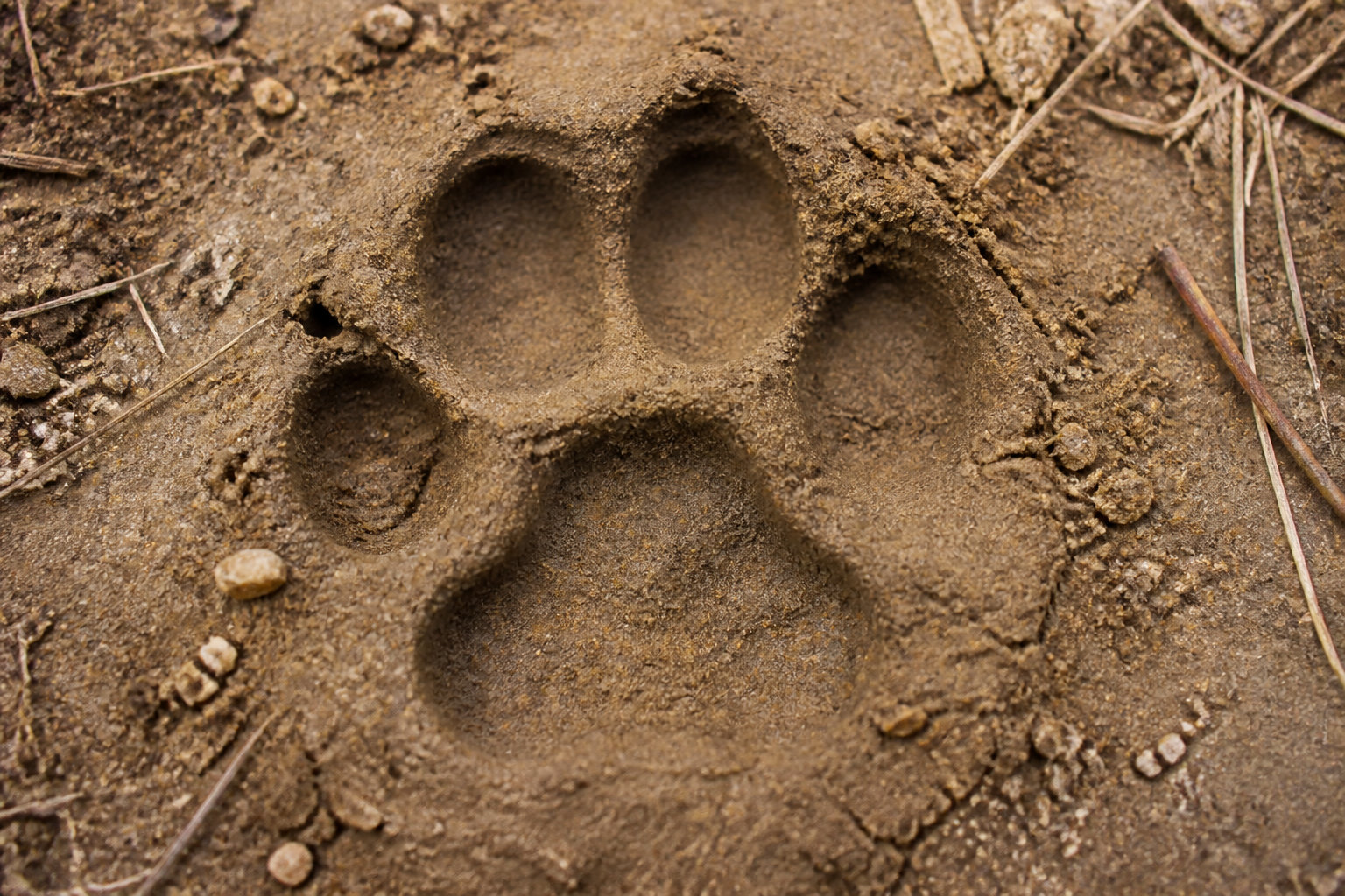 3 Defensive Tactics for Predatory Encounters