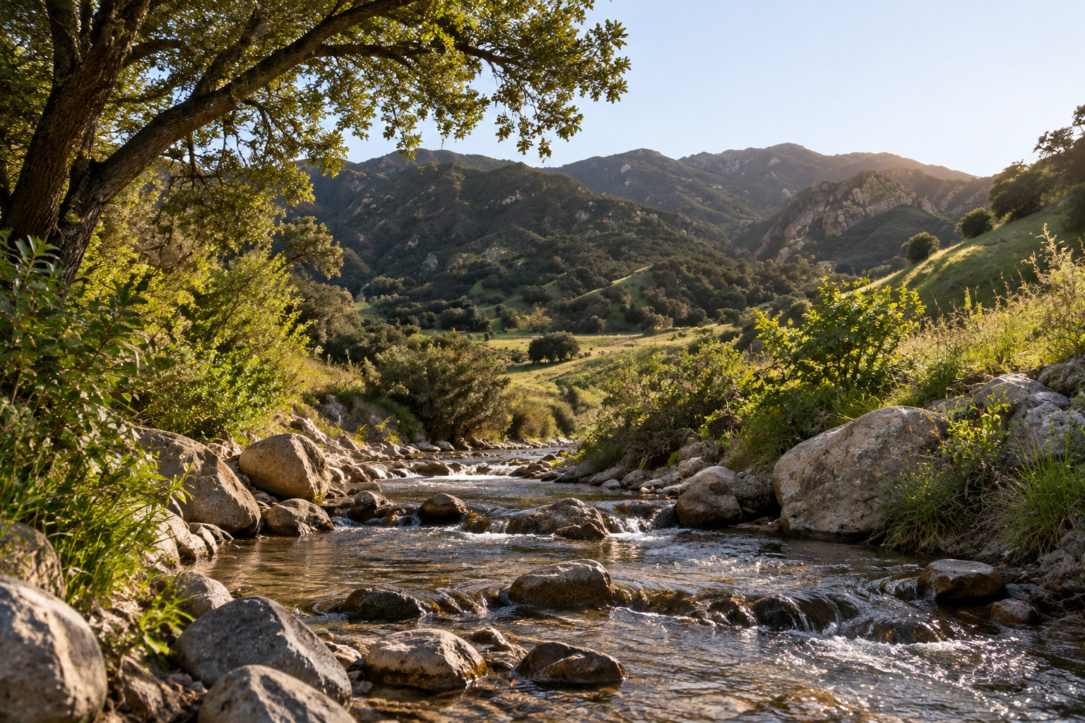 A rocky stream flows through a green mountain valley beneath a large tree in warm sunlight.