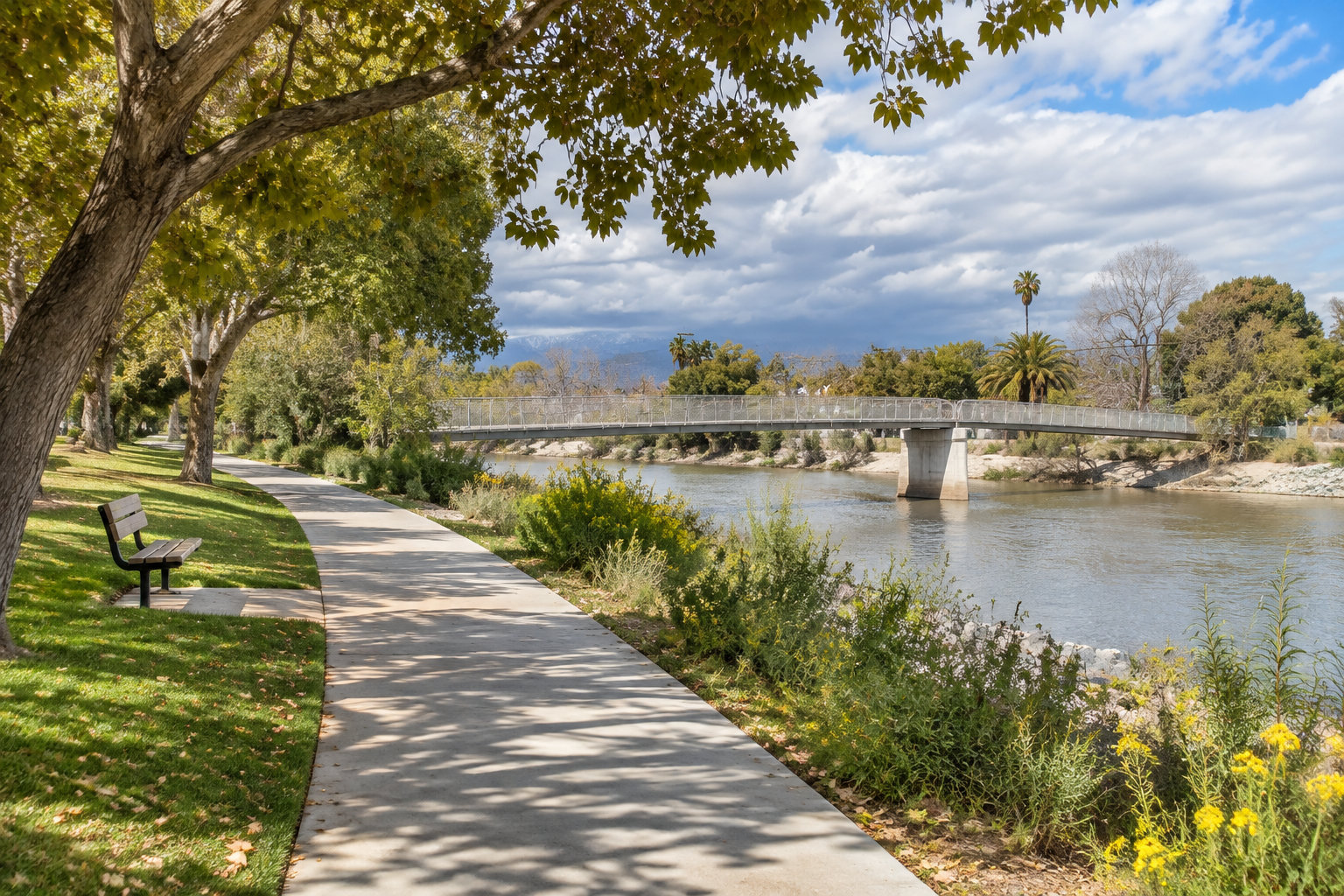 A paved path curves through a leafy riverside park toward a pedestrian bridge, with a bench beneath the trees and cloudy skies overhead.
