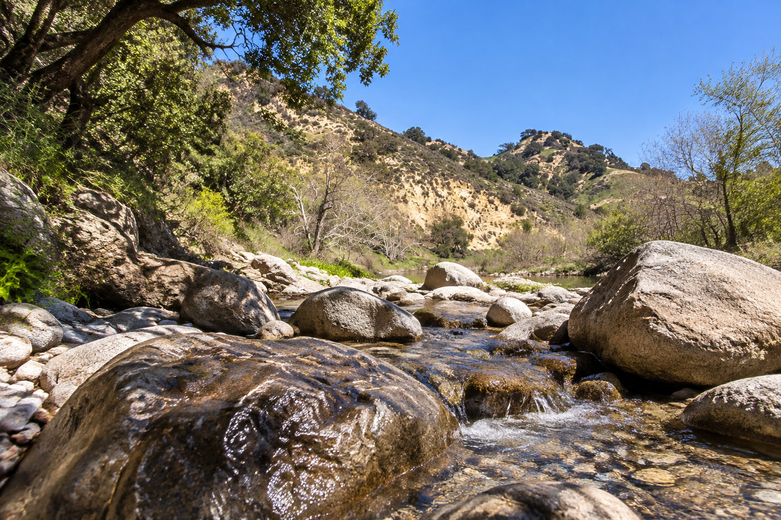 A shallow stream flows among large rocks beneath leafy trees, with dry hills and a clear blue sky in the background.