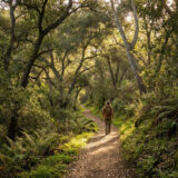 Hidden hiking trails with shade in Los Angeles